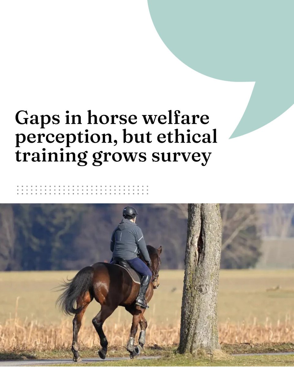 Gaps in horse welfare perception, but ethical training grows  survey

 vettimes.com/news/vet-nursi…