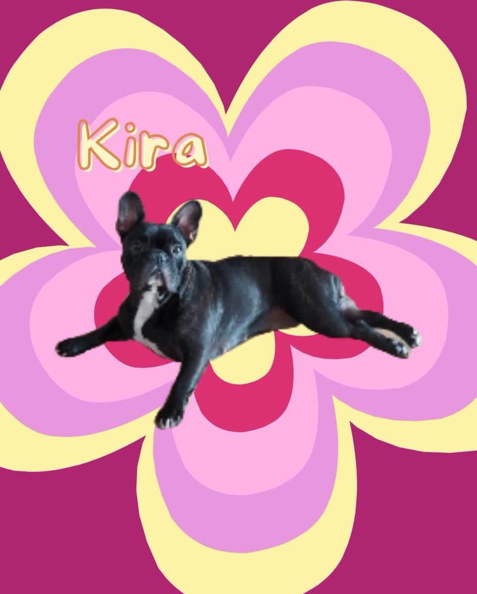 smokeruserr's tweet photo. esta es la kira de la suerte, si te apareció tendrás dicha toda la semana https://t.co/W3LjDEN6gK