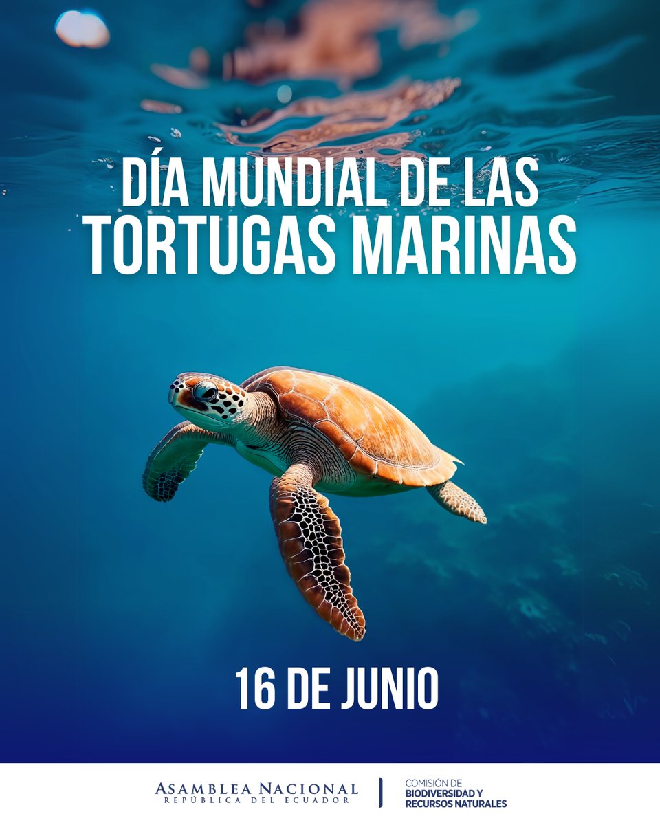 🌊 Hoy, en el Día Mundial de las Tortugas Marinas, desde la Comisión de Biodiversidad y Recursos Naturales reafirmamos nuestro compromiso con su protección y la conservación de su hogar natural. 🐢