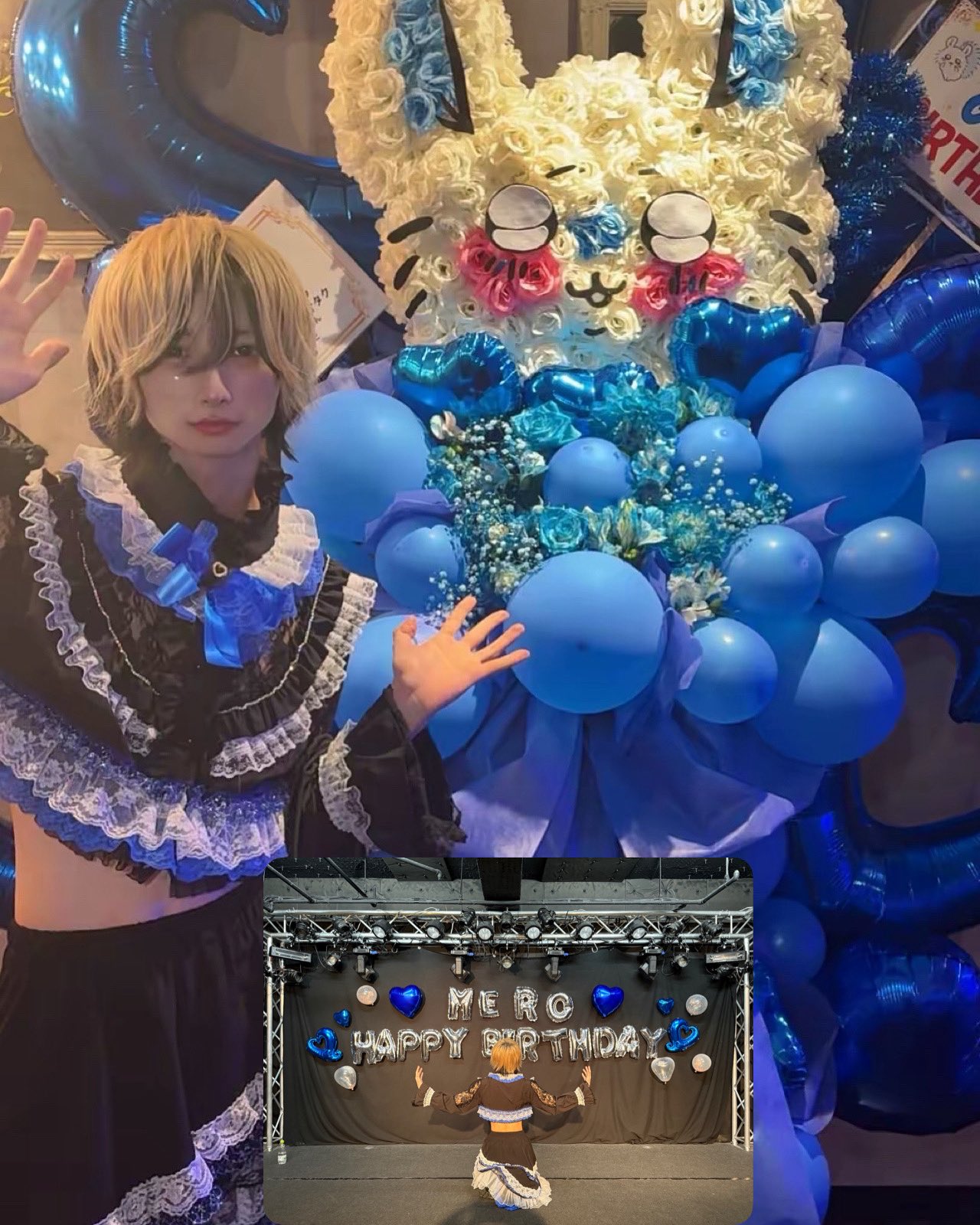 まりめろ MM19-0418-03 カワサキ ZRX400 サイドカバー(アルフィンカバー