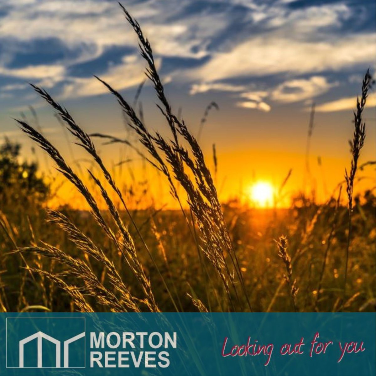 Morton Reeves combine our extensive #experience with a wealth of local #knowledge to generate strategies that flood the #property market with coverage and that will enable us to get the best exposure for your home

mortonreeves.co.uk
 
#estateagent #independent #norwich