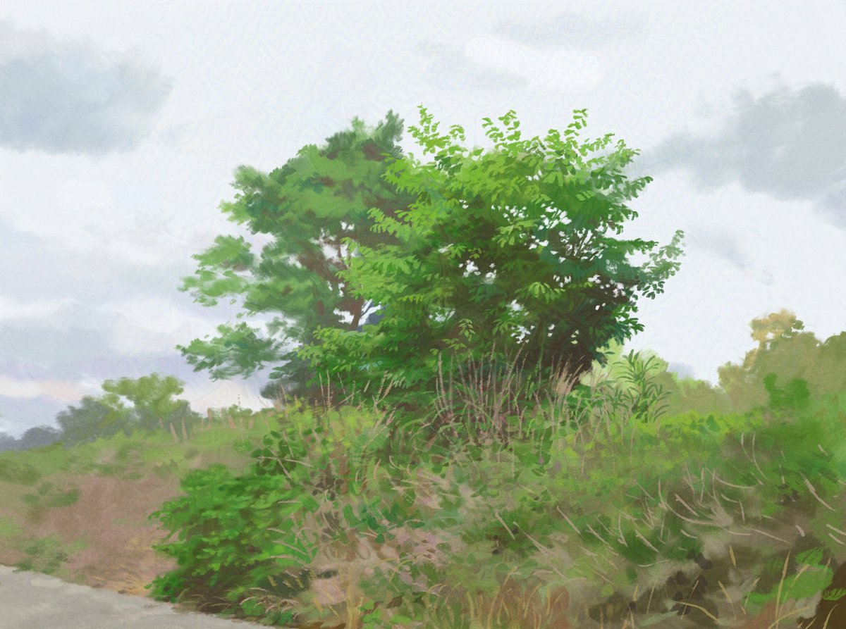pentahoshi's tweet image. 