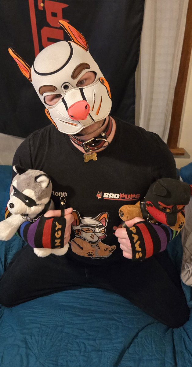 Fionnthecat tweet media