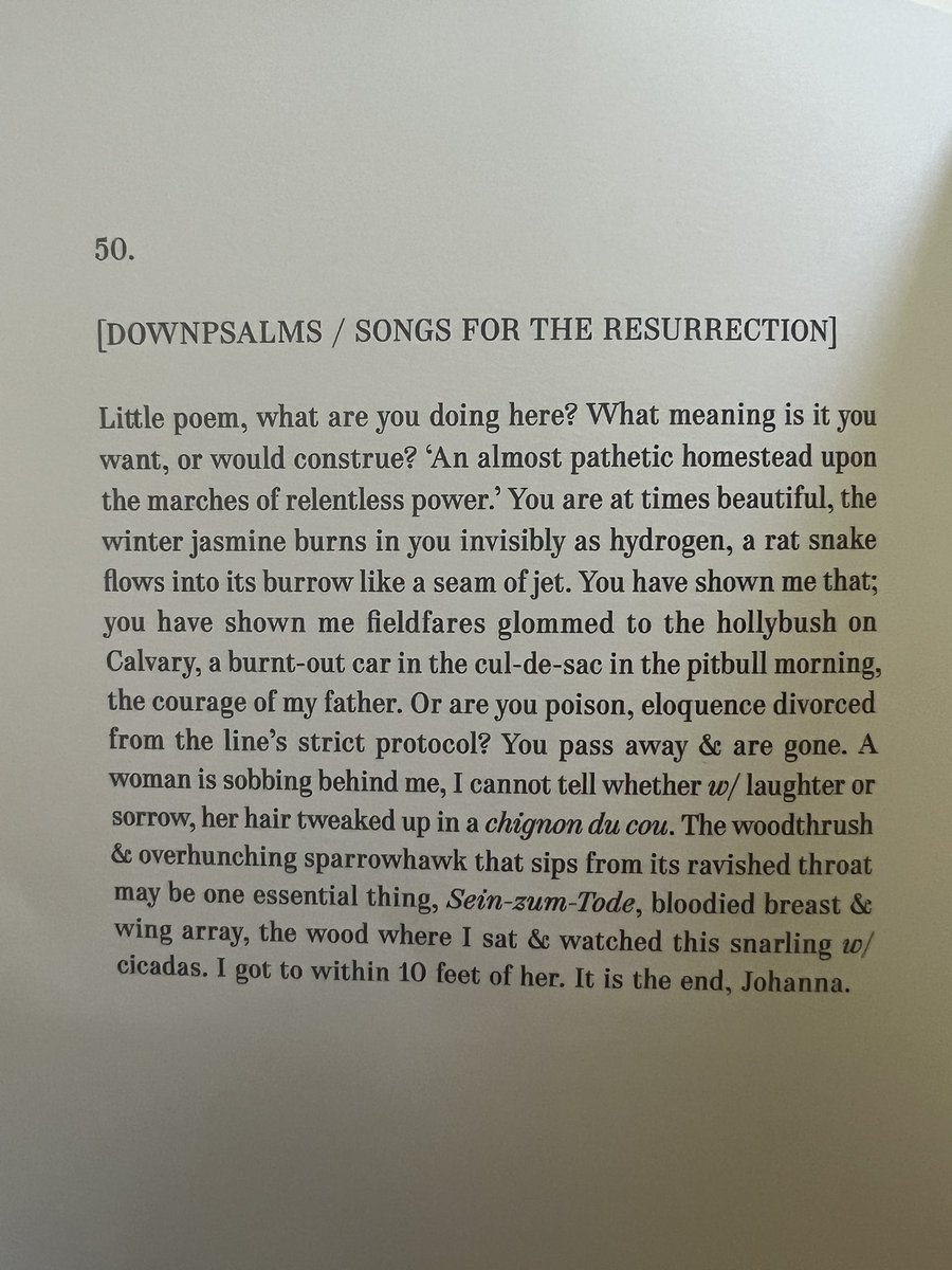 Tony Martinez de las Rivas