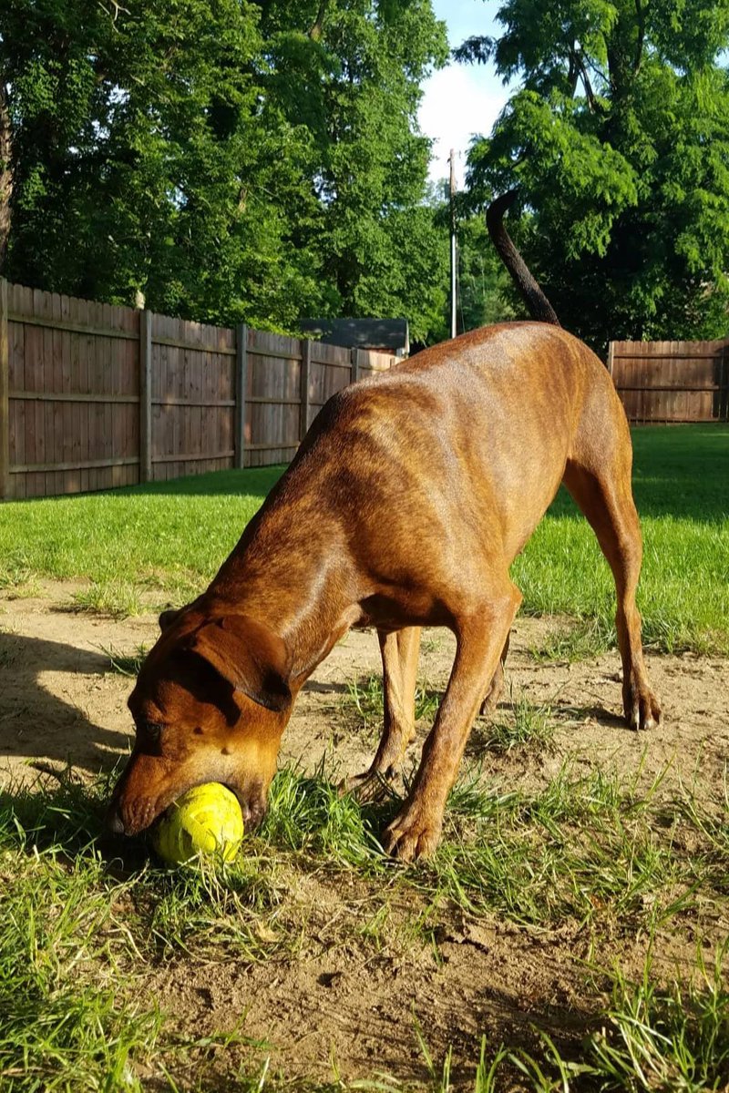 fullbloomdotfun's tweet image. #photography