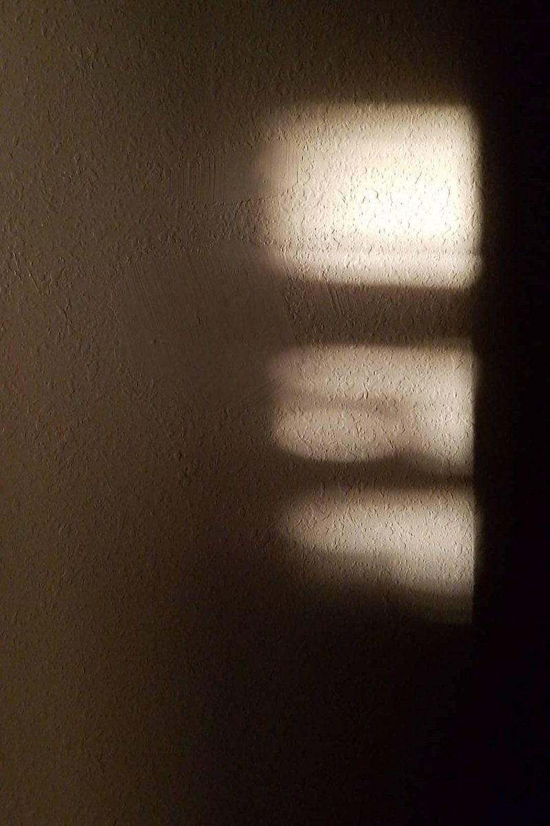 fullbloomdotfun's tweet image. #photography