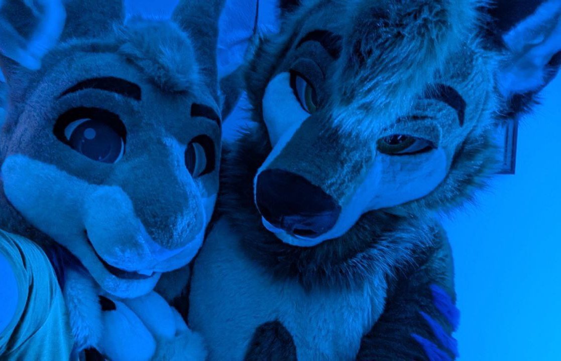 Bumped into a bunny under the blue lights at a house party. Can confirm, well behaved :3 

(P.S. fullsuiting at house parties for multiple hours is both incredibly fun and incredibly warm)