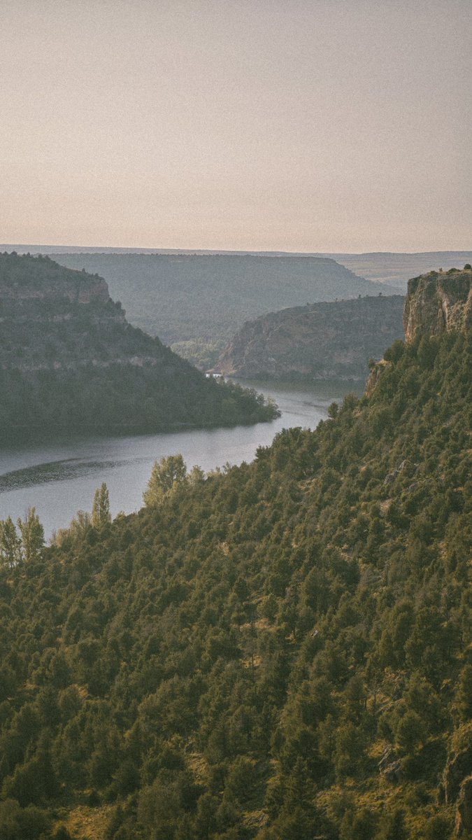 MrHalstead_'s tweet image. Parque natural de las Hoces del Río Duratón🏞️