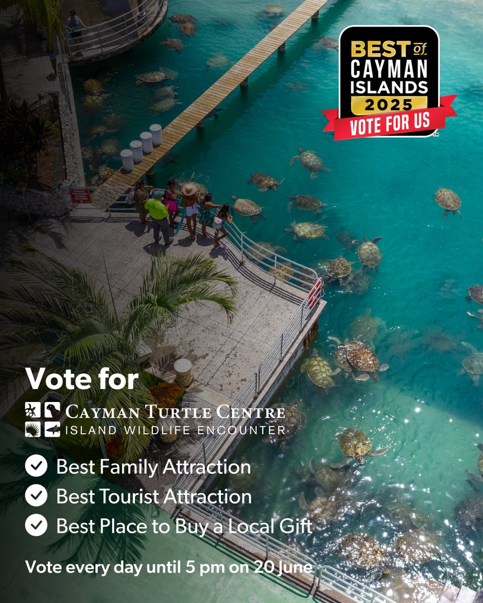 Cayman Turtle Centre tweet media