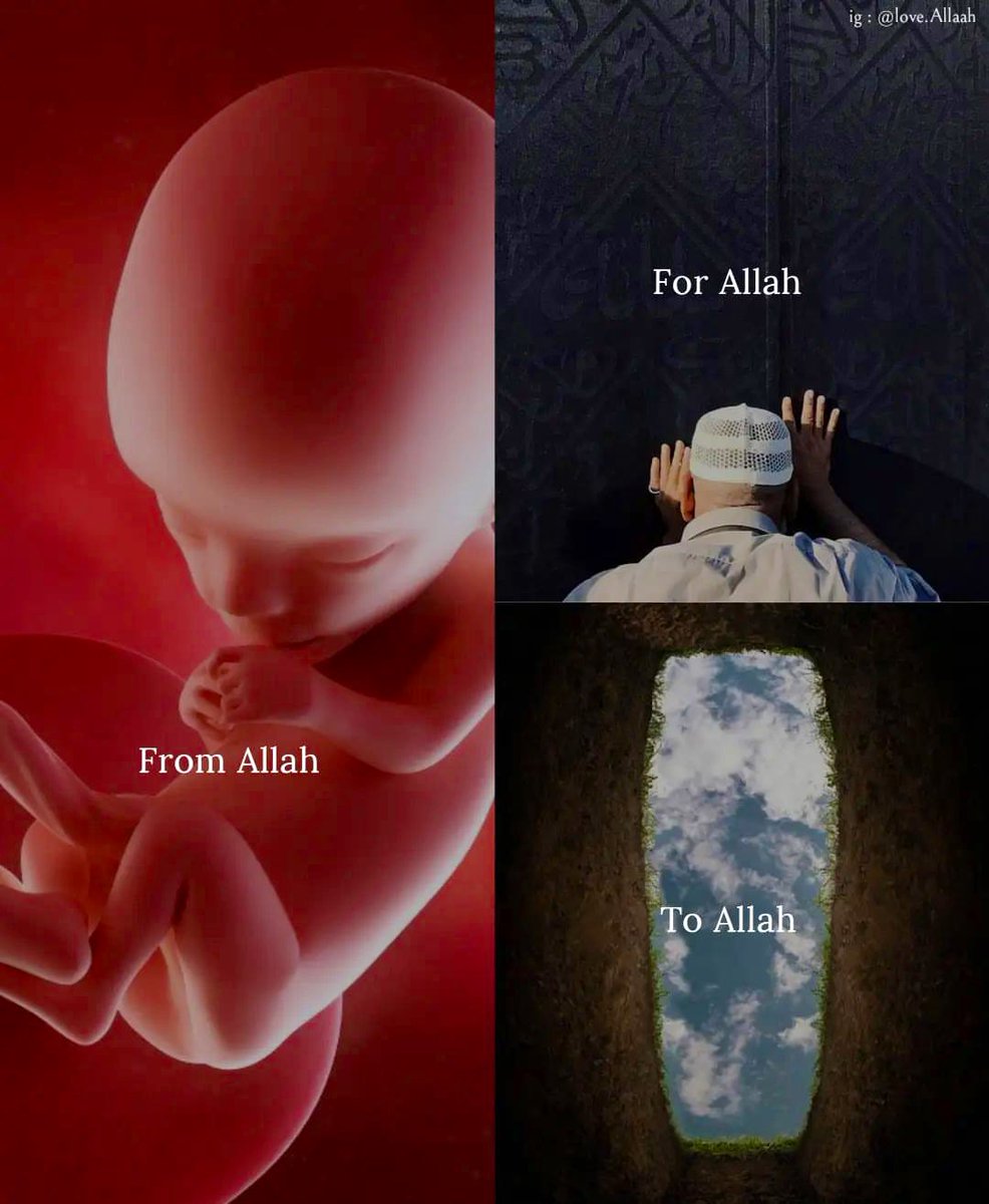 From Allah, For Allah, To Allah