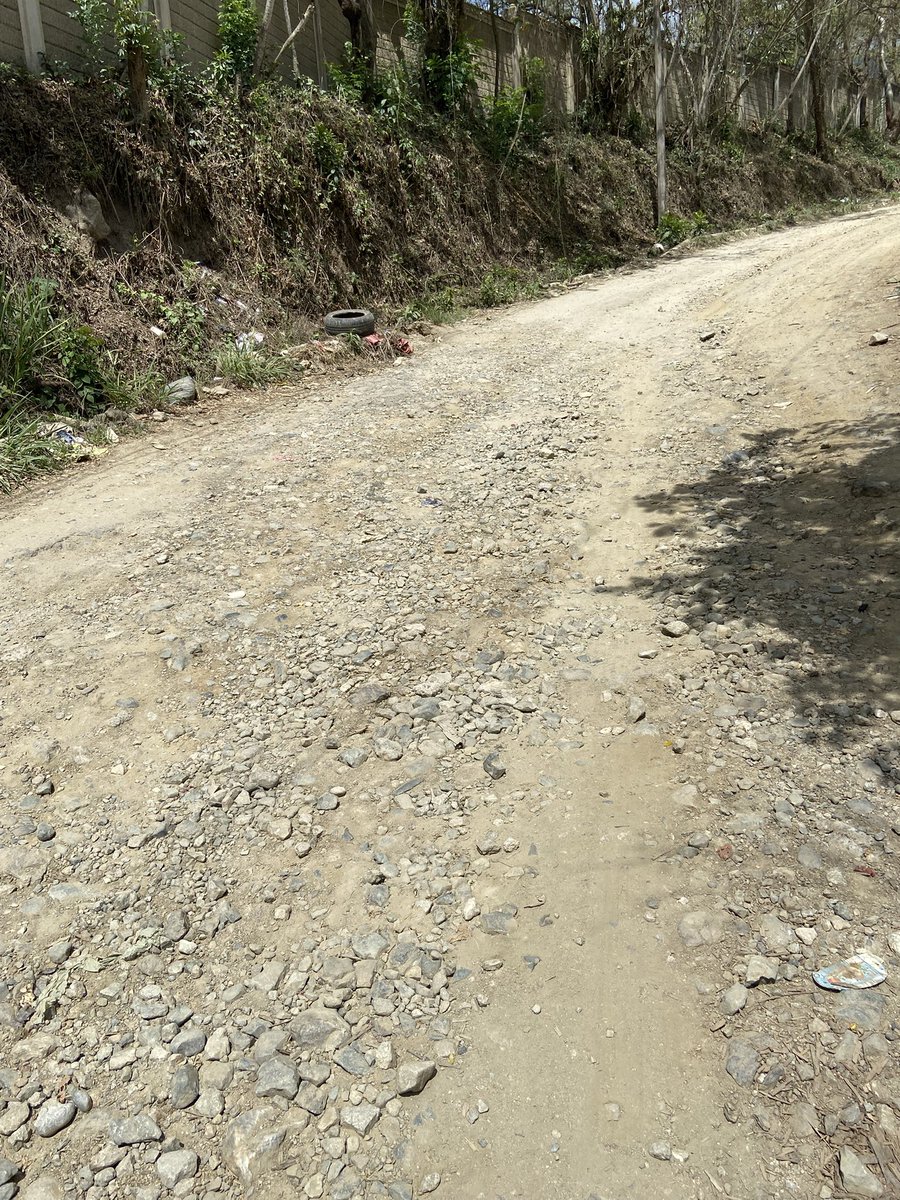 Nery Palma (@nerypalma10) on Twitter photo <a href="/RobertoContreM/">Roberto Contreras</a> alcalde en estas condiciones está la calle de La Primavera por la parte del campo que conecta con col. Rodas Alvarado. Ya no se puede pasar con vehículo turismo, hay muchas piedras y está deteriorado. Nunca nos han venido apoyar a raspar tan siquiera esa calle. <a href="/RobertoContreM/">Roberto Contreras</a> alcalde en estas condiciones está la calle de La Primavera por la parte del campo que conecta con col. Rodas Alvarado. Ya no se puede pasar con vehículo turismo, hay muchas piedras y está deteriorado. Nunca nos han venido apoyar a raspar tan siquiera esa calle.
