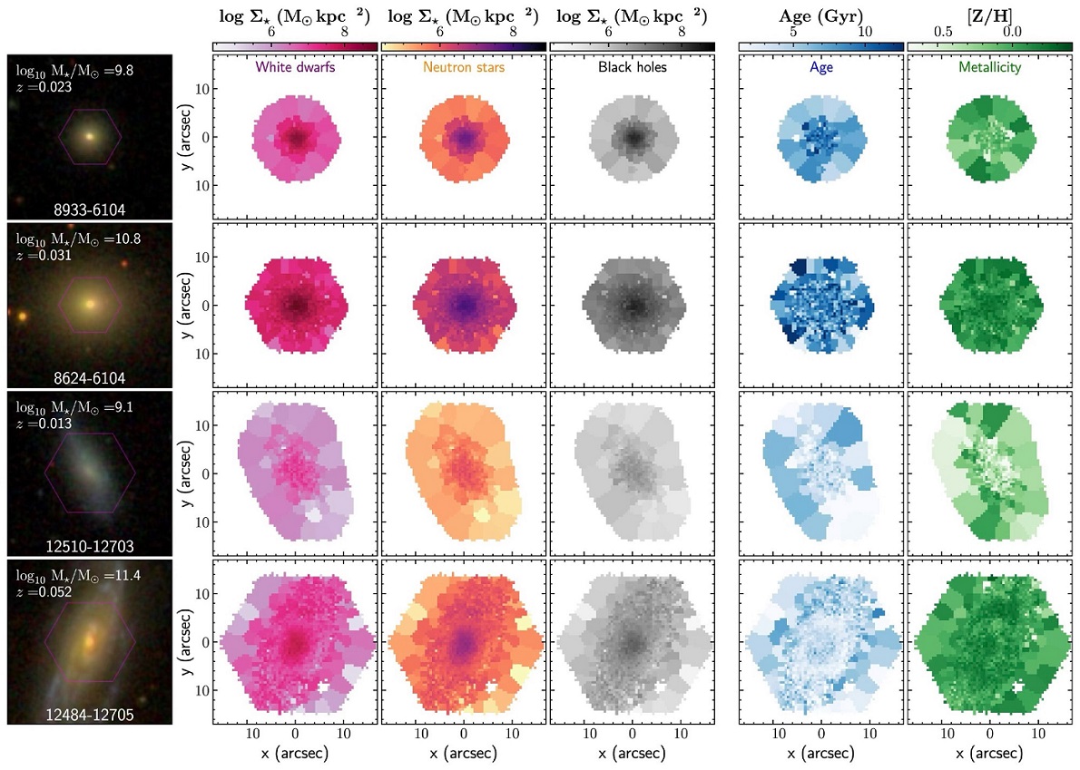 A new super interesting study has mapped stellar remnants, such as black holes (BHs), neutron stars (NSs), and white dwarfs (WDs) in about 10,000 galaxies observed by the MaNGA/SDSS-IV survey.

When a massive star runs out of fuel, it can go supernova, leaving behind a black hole