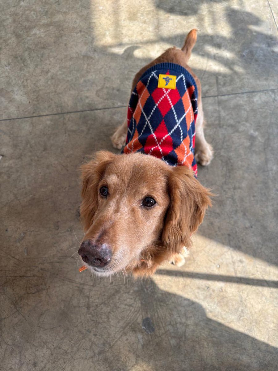 me &amp; mine 🐾 💝