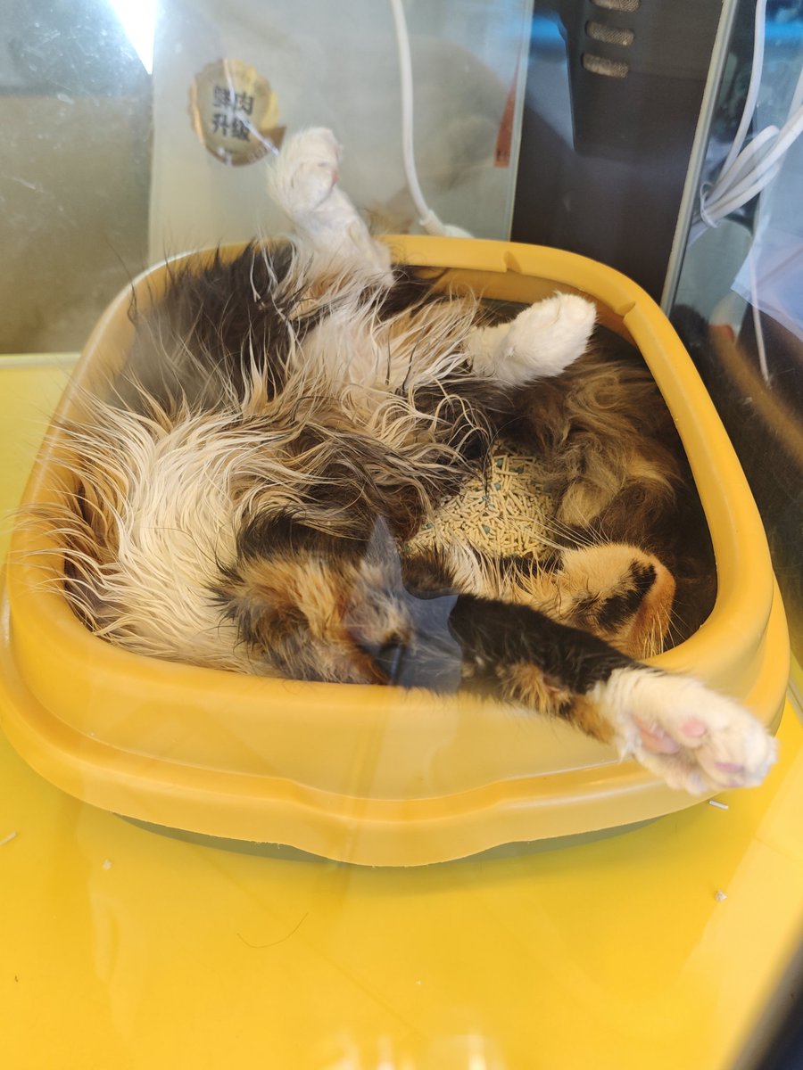 谁家宝宝这样睡觉呀～是我家的～～～～