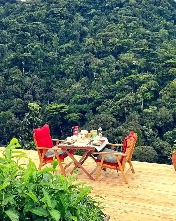 tukwa2's tweet image. We need to take climate crusades to the Amazonia rain forest 
#savetheAmazonrainforest