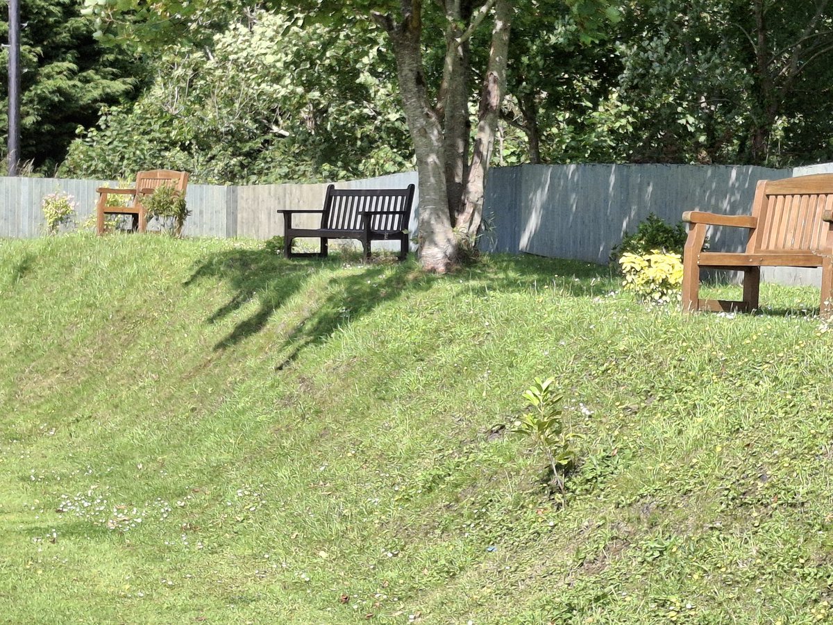 Some impressive work by our volunteers around the ground.
Hanging baskets to beautifully planted borders of shrubs and trees. 
Our memorial area is just 12 months old and loved by so many spectators and club members.
Cricket enjoyed by off-field supporters also #greenfingers.