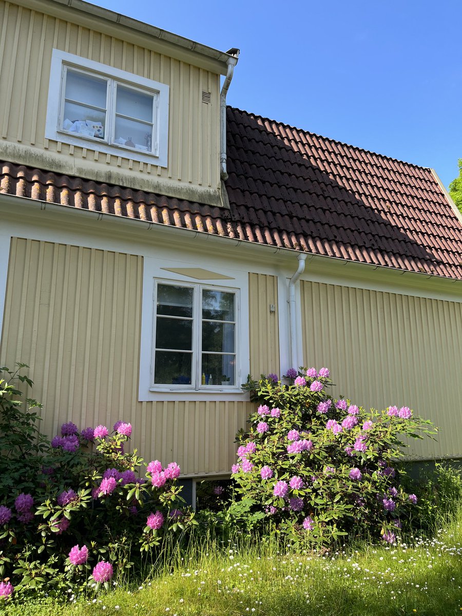 Vania Ceccato tweet media