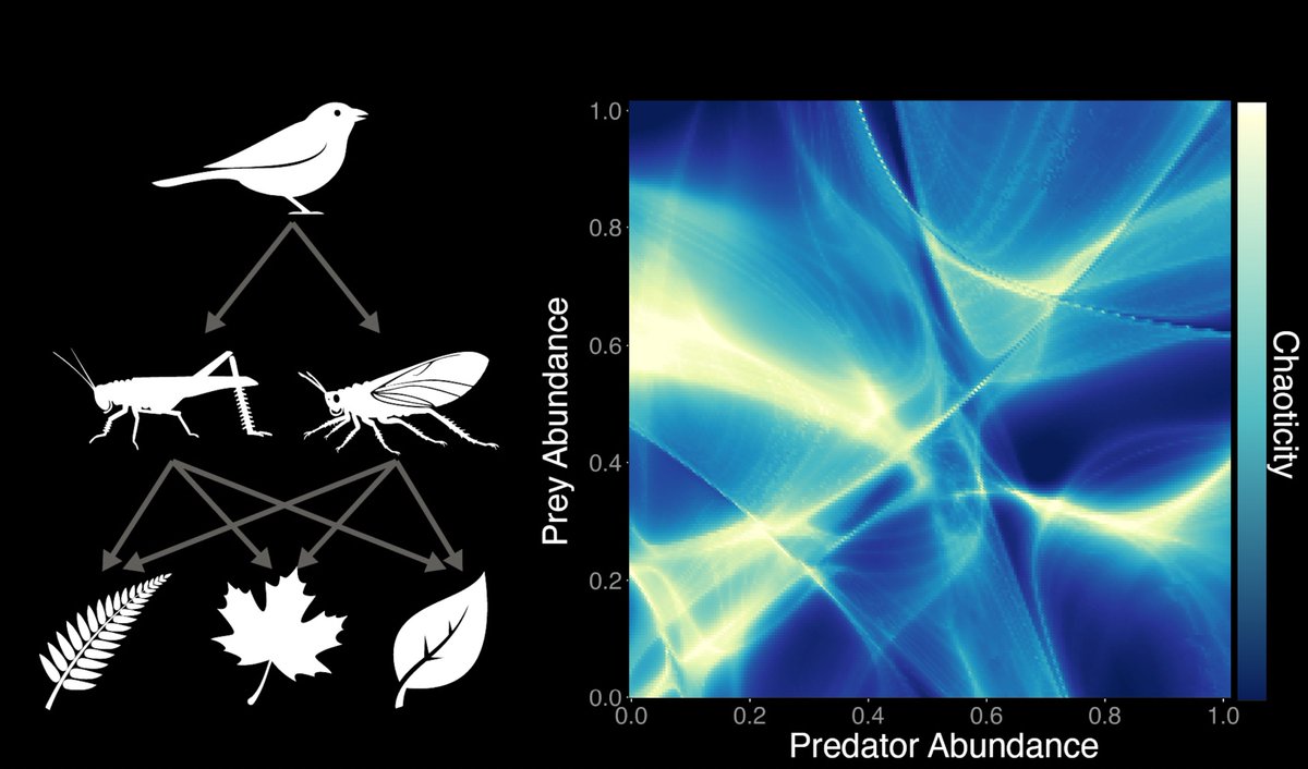 William Gilpin (@wgilpin0) on Twitter photo Does stability matter in biology? My article on the cover of this month’s <a href="/PLOSCompBiol/">PLOS Comp Biol</a> explores how large ecosystems develop supertransients, a manifestation of computational hardness (1/N)
doi.org/10.1371/journa… Does stability matter in biology? My article on the cover of this month’s <a href="/PLOSCompBiol/">PLOS Comp Biol</a> explores how large ecosystems develop supertransients, a manifestation of computational hardness (1/N)
doi.org/10.1371/journa…