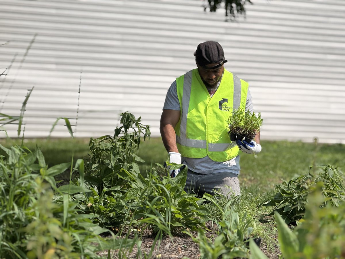 PHL Office of Clean and Green Initiatives (@phl_cgoffice) on Twitter photo In support of <a href="/PhillyMayor/">Mayor Cherelle L. Parker</a>'s "Clean and Green" vision, Future Track trainees joined Pennsylvania Horticultural Society in transforming vacant lots in Strawberry Mansion and Mantua into vibrant pollinator gardens🌿💪 In support of <a href="/PhillyMayor/">Mayor Cherelle L. Parker</a>'s "Clean and Green" vision, Future Track trainees joined Pennsylvania Horticultural Society in transforming vacant lots in Strawberry Mansion and Mantua into vibrant pollinator gardens🌿💪
