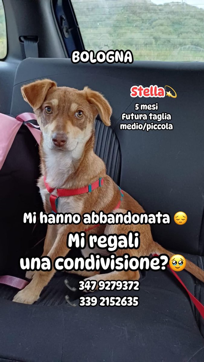 Diamole una mamma che l'ami veramente tanto 👧🏻 ♥️ 👧🏻 ♥️ 👧🏻 ♥️ 👧🏻 ♥️ 👧🏻 ♥️ 👧🏻 ♥️ 👧🏻 ♥️ METTETE SOLO E SOLTANTO TANTISSIMI RP RP RP RP RP RP RP RP RP RP RP RP RP RP GRAZIE ❤️
