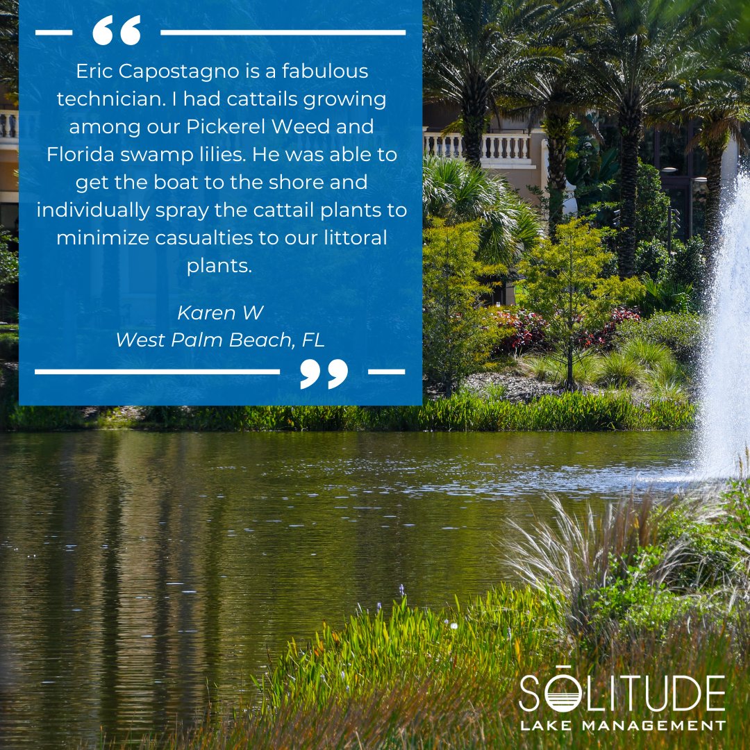 Cattails causing drama? We’ve got it handled without messing with your beautiful native plants. 💪🌿

#ShorelineCare #LakeVibes #EcoFriendly