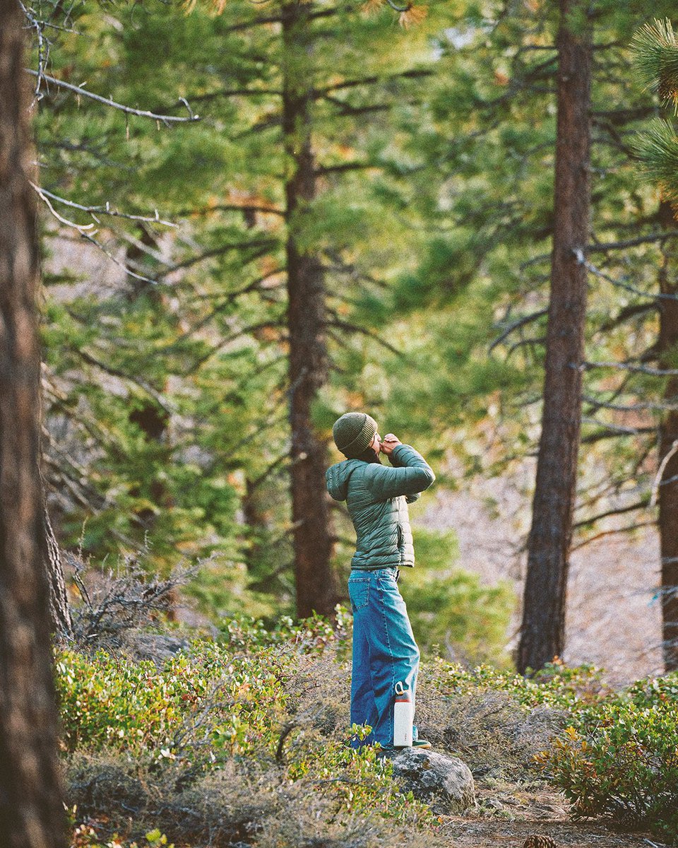 When adventure calls, answer it. When “a quick walk in the woods to atone for last night” calls, answer that, too.