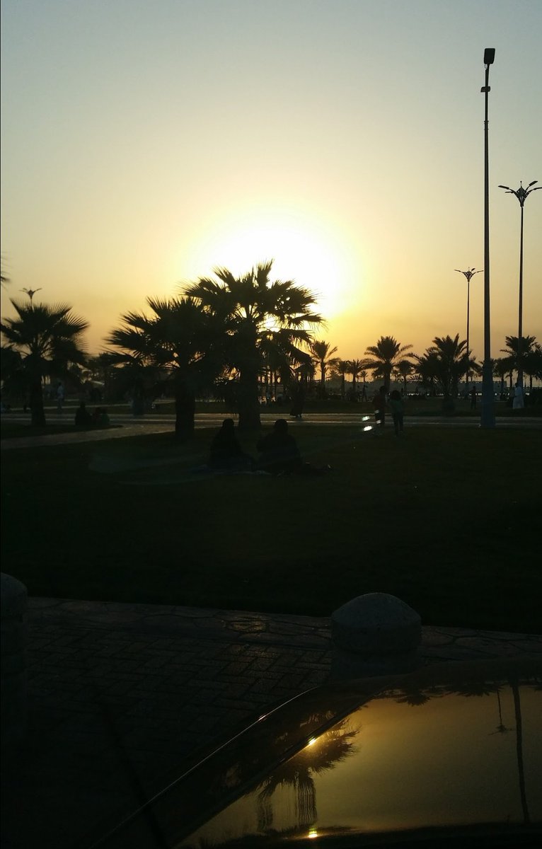 مساء الخير 
( تصويري  )