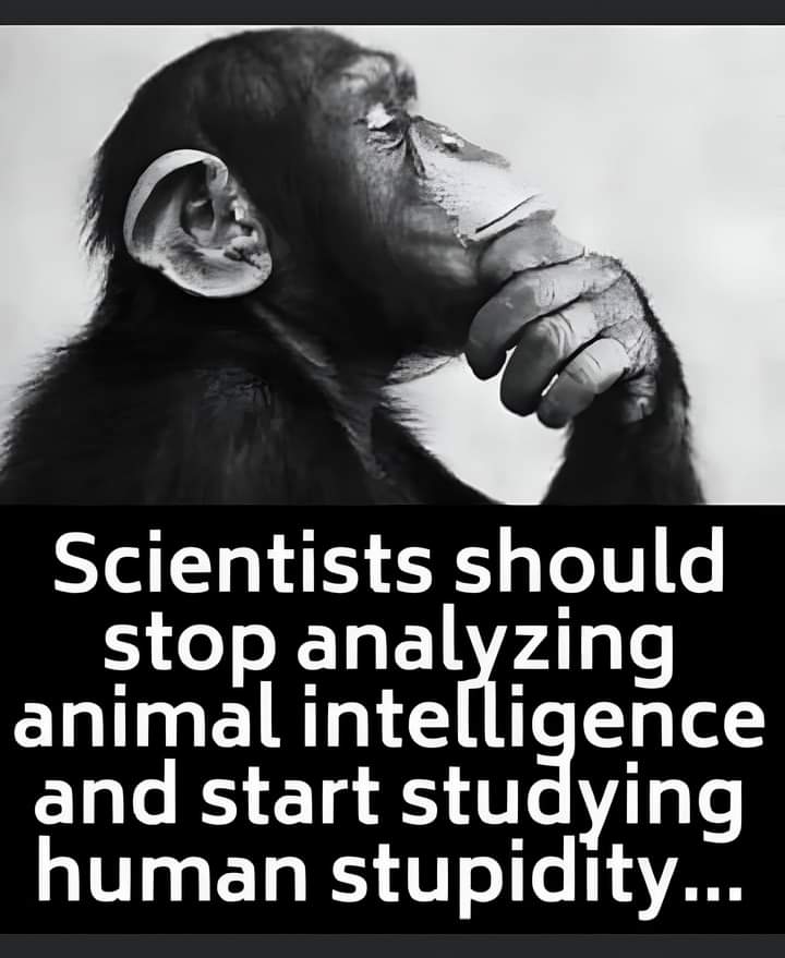 Amazing Nature (@amazingnature00) on Twitter photo 