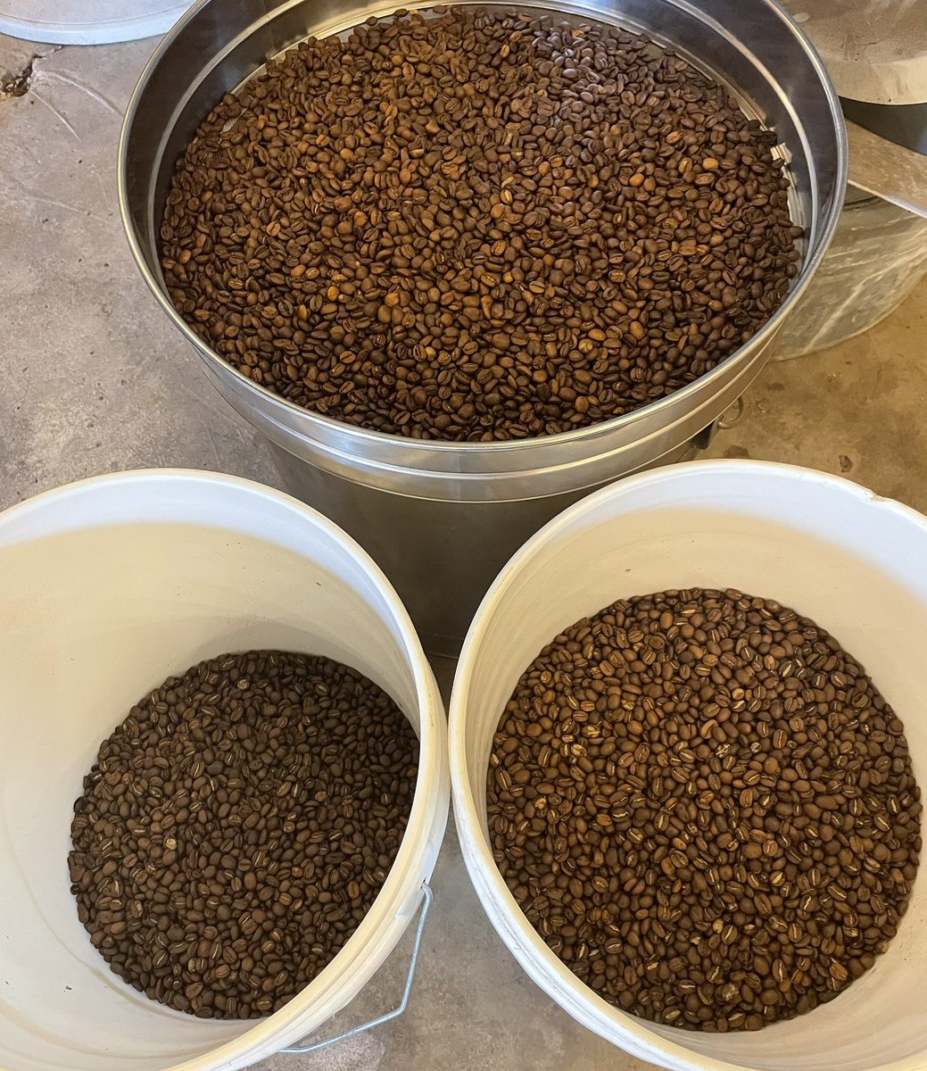 Coffee roasted today and shipping tomorrow.