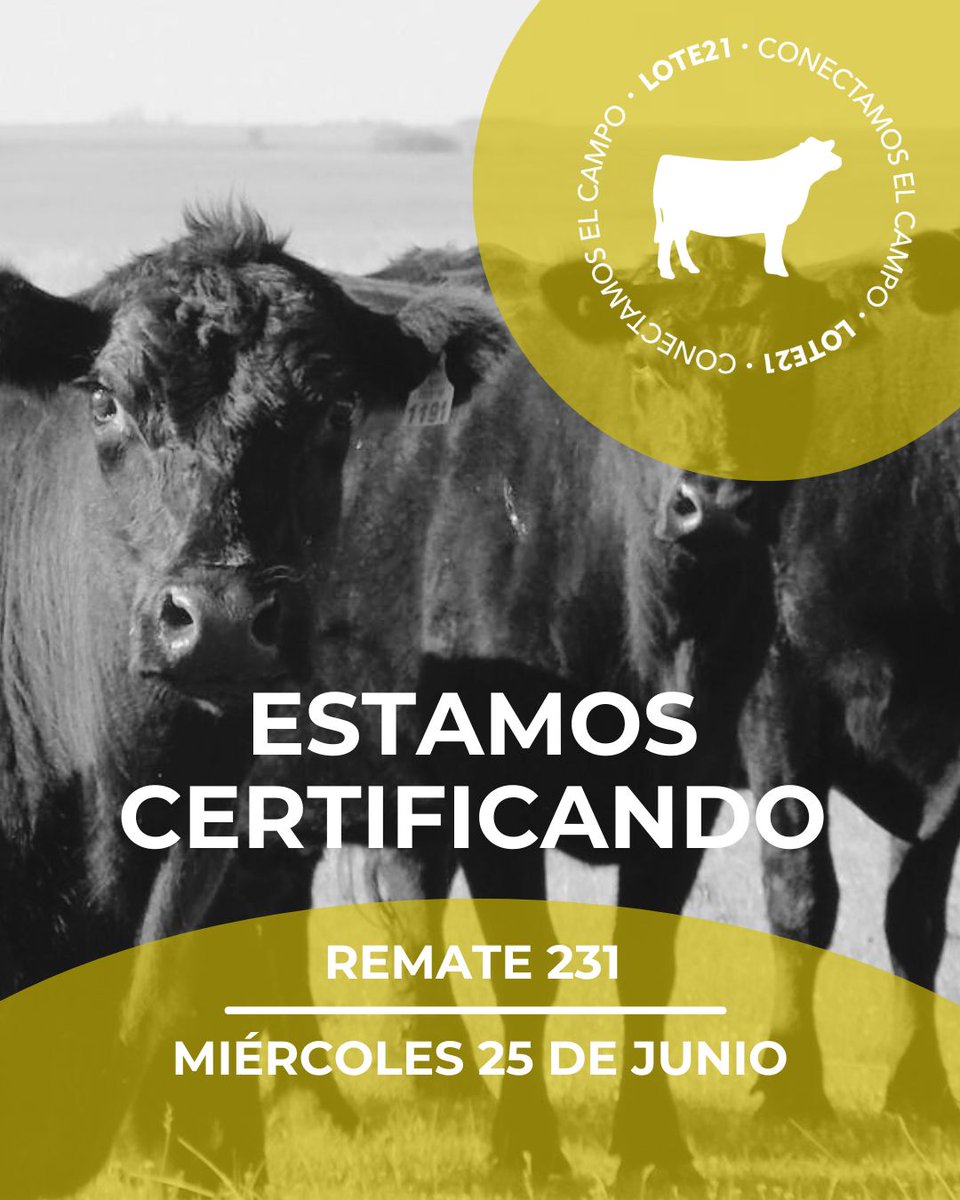 No pierdas la oportunidad de inscribir tu lote para nuestro próximo Remate 231. 
MIÉRCOLES 25 DE JUNIO.
ESTAMOS CERTIFICANDO.
COMUNICATE CON NUESTROS ESCRITORIOS POR MÁS INFORMACIÓN.
lote21.uy #vamosportulote #rematalote21 #conectamoselcampo