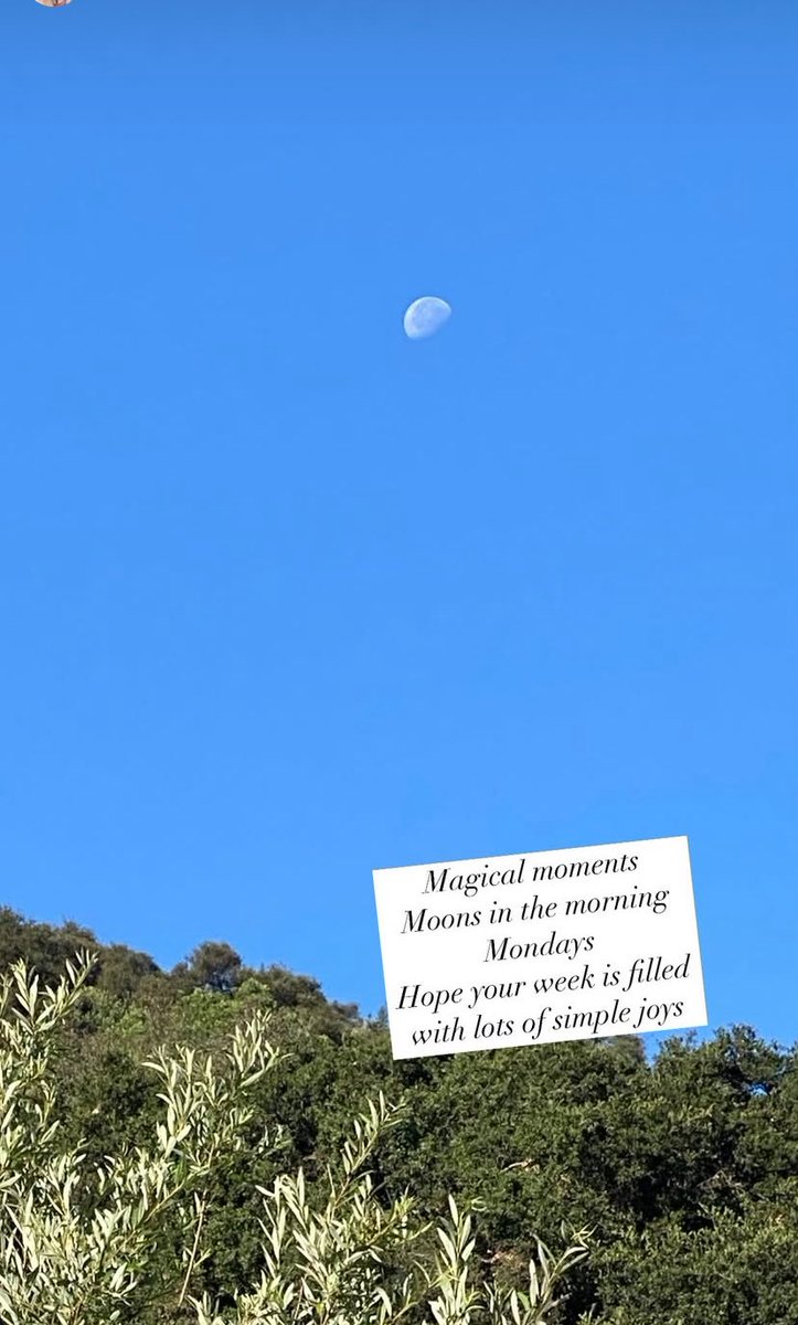 Mara_girl1's tweet image. #MondayMotivation #NewWeekNewVibes