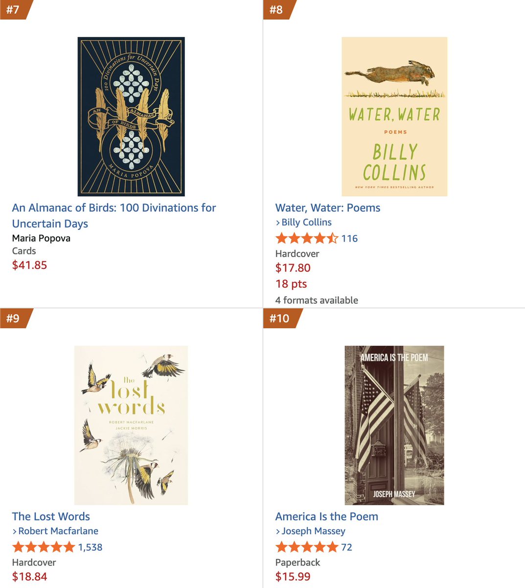 My book, America Is the Poem, has risen to #10 on Amazon's Best Seller's in Nature Poetry list. I'm close to overtaking Billy Collins and Maria Popova, both published by major presses. My self-published book—no agent, no PR team—refuses to fade away.