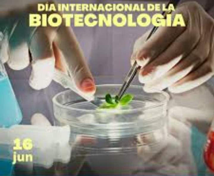 16 de Junio Día internacional de Biotecnologia🌎🔬Celebramos el papel trasformador de biotecnologia en la sociedad Clave para avanzar en la salud pública, sostenibilidad calidad de vida.
Felicitamos a nuestros profesionales del  ámbito biotecnológico por su  compromiso 
#UCMH
