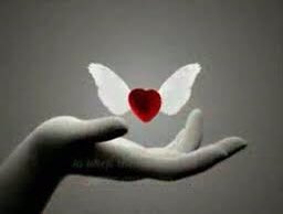 Good Night 
dear all my friends 
Sleep well #sweetdreams 
June is now completing 
Half month 
and it shows the 
horrible hot with 48C 
May the remaining days 
will be a bit relaxing 
#June 
#KindnessMatters 
#PeaceAndLove 
📕✍️📕✍️📕✍️