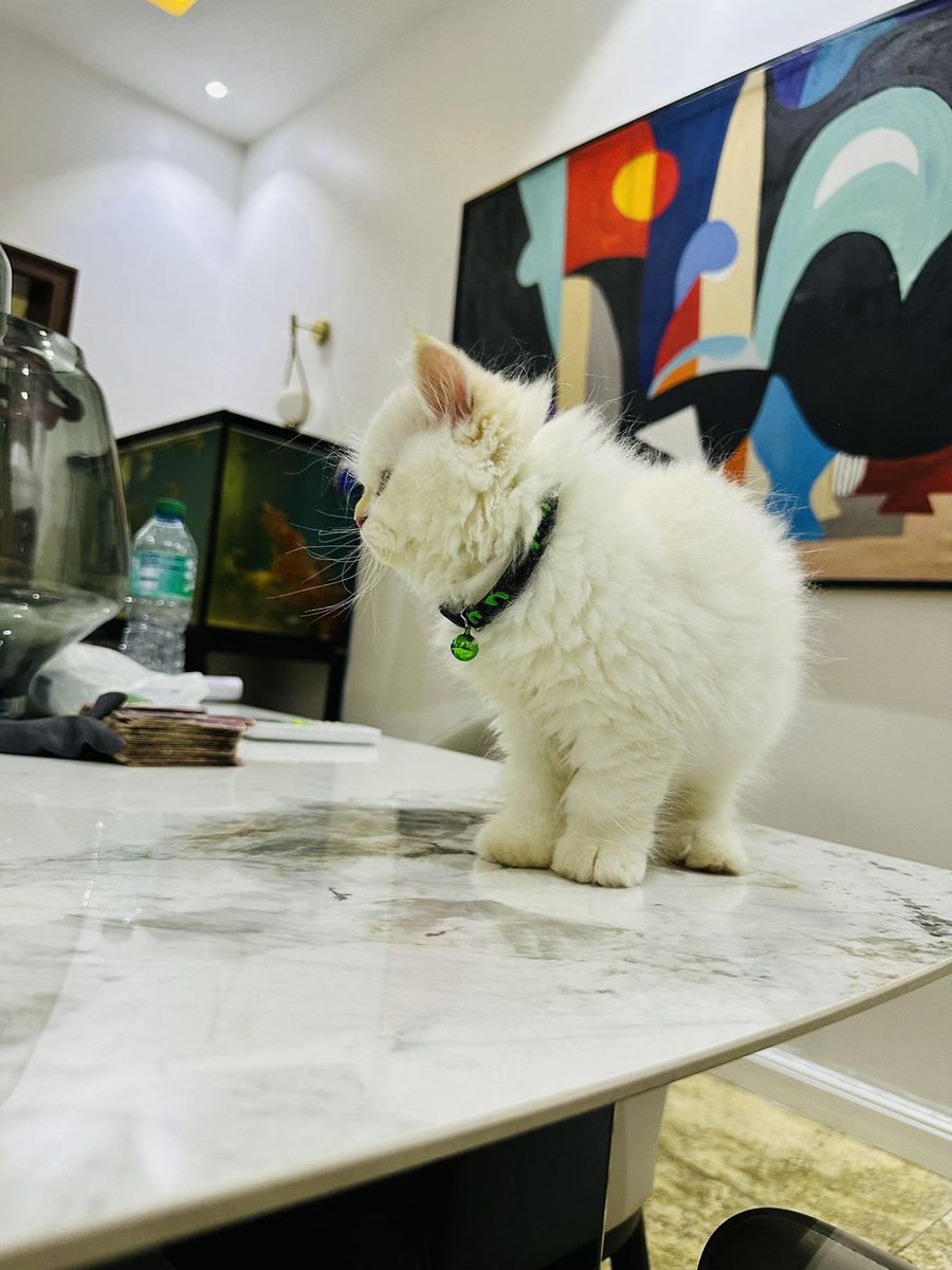 Please I need a unique name for my new girl at home o