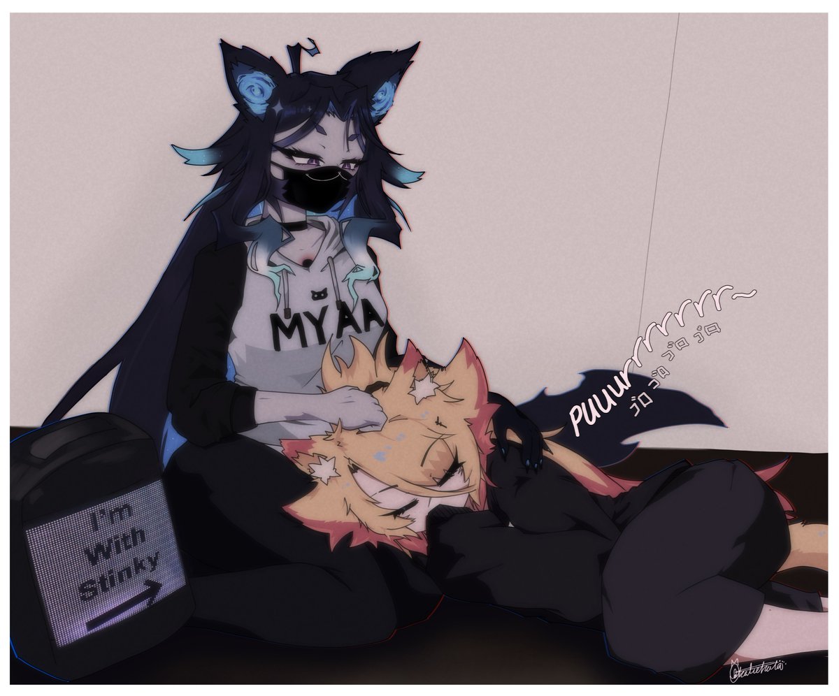 Cat nap time 💤