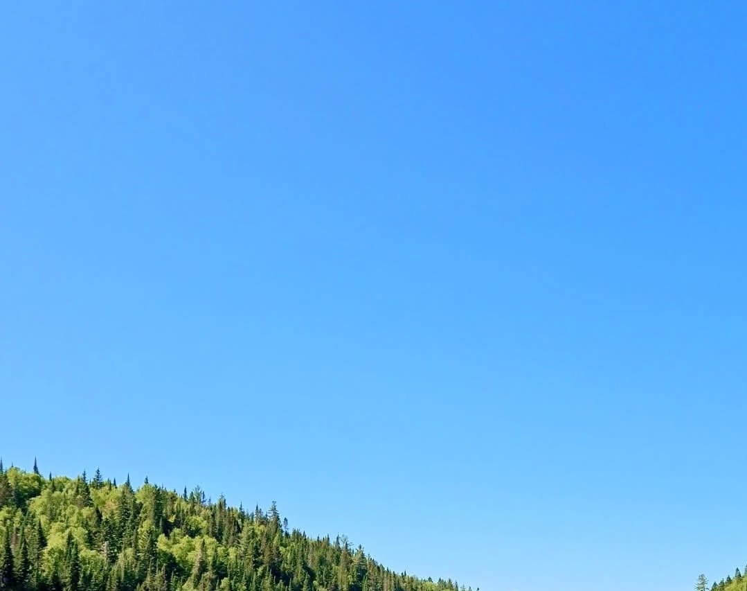 malaf01's tweet image. Dans les Laurentides, si tu veux voir un beau ciel bleu c&apos;est avant 9h que ça se passe.
Quelques traînés de condensation plus tard et on a un beau soleil gris pour le reste de la journée. Je vous partage le ciel de ma matinée entre 7h et midi...