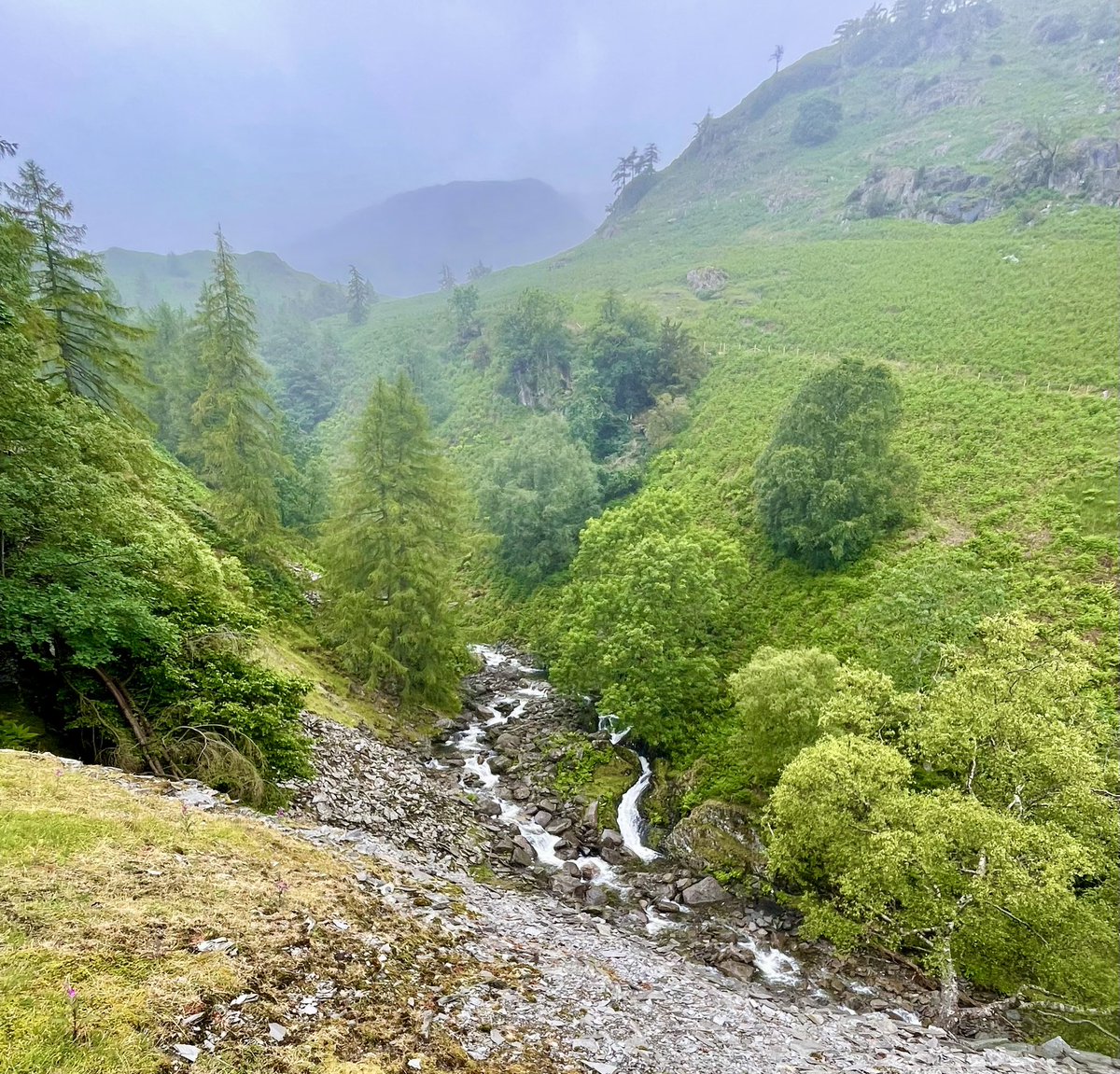 Lorene182's tweet photo. Wetherlam from Low Tiberthwaite walking above Tiberthwaite Gill. Started in bright sunshine, but the clag came down for the traverse across the edge. Spectacular scenery and a good path through old mining grounds. #Wetherlam #LakeDistrict ๐๐ฅพ https://t.co/Vvtwdb8lbM