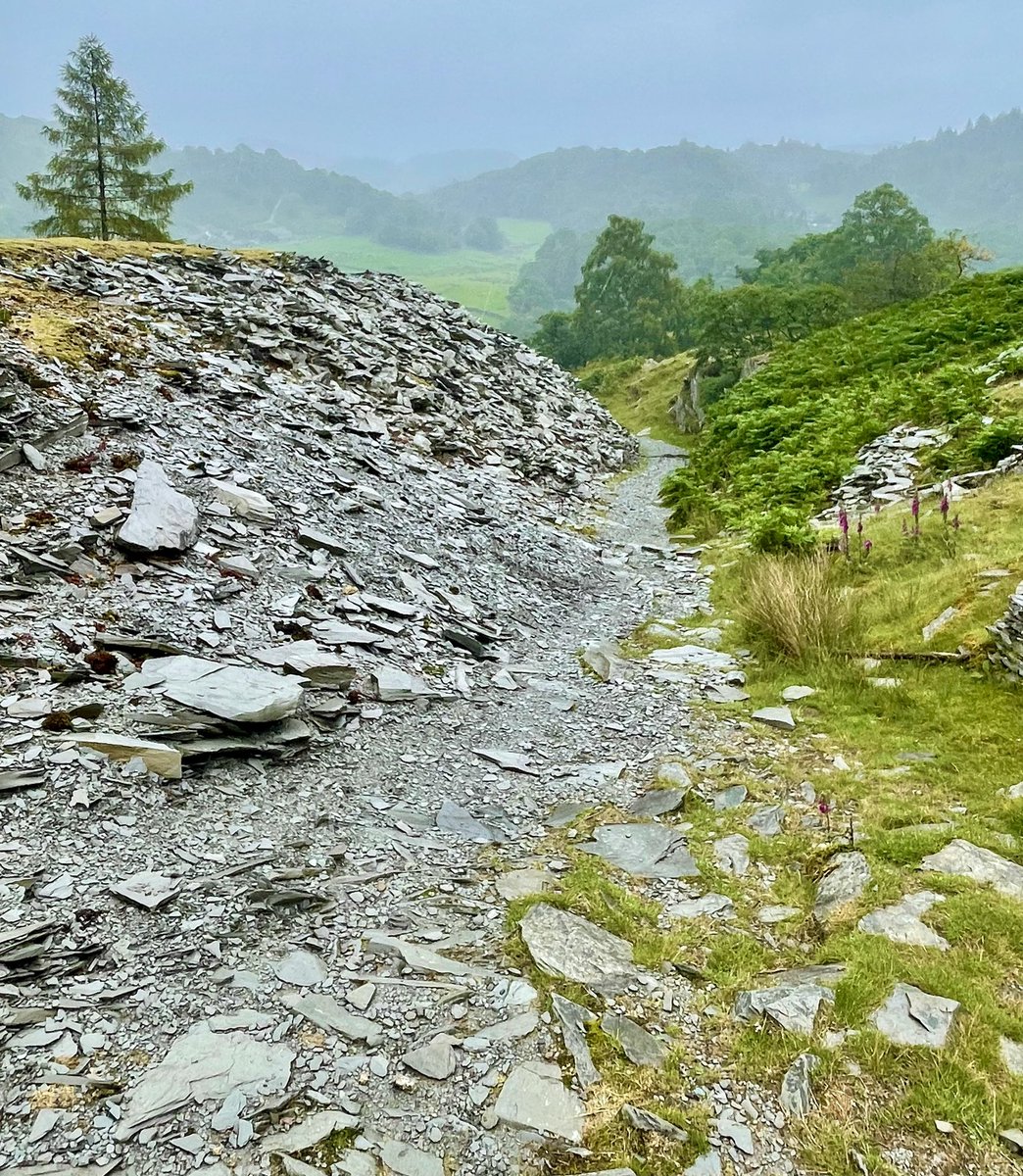 Lorene182's tweet photo. Wetherlam from Low Tiberthwaite walking above Tiberthwaite Gill. Started in bright sunshine, but the clag came down for the traverse across the edge. Spectacular scenery and a good path through old mining grounds. #Wetherlam #LakeDistrict ๐๐ฅพ https://t.co/Vvtwdb8lbM
