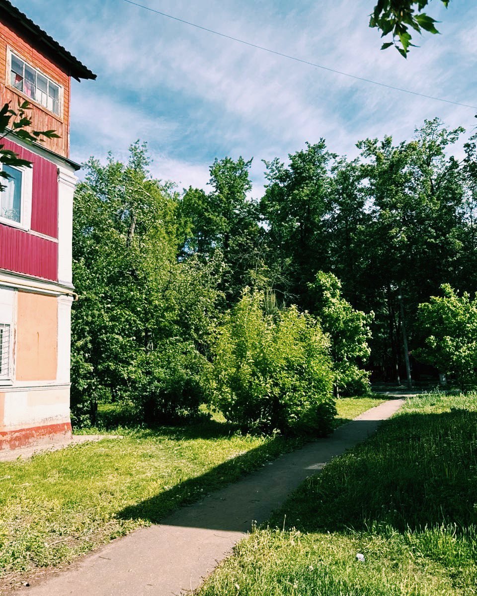 мы сегодня гуляли, а вы что делали?