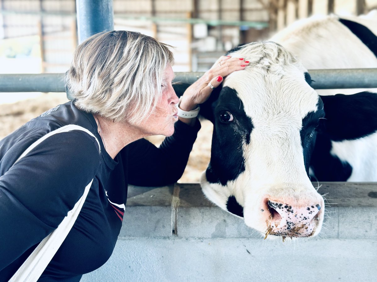 June is #NationalDairyMonth, and we are showing some love to the dairy farmers and cows dedicated to serving their communities! DYK...Delaware has around 3,000 milk cows producing about 47 million lbs of milk yearly from just 13 dairy farms?!!

📸: 2024 Photo Contest Submission