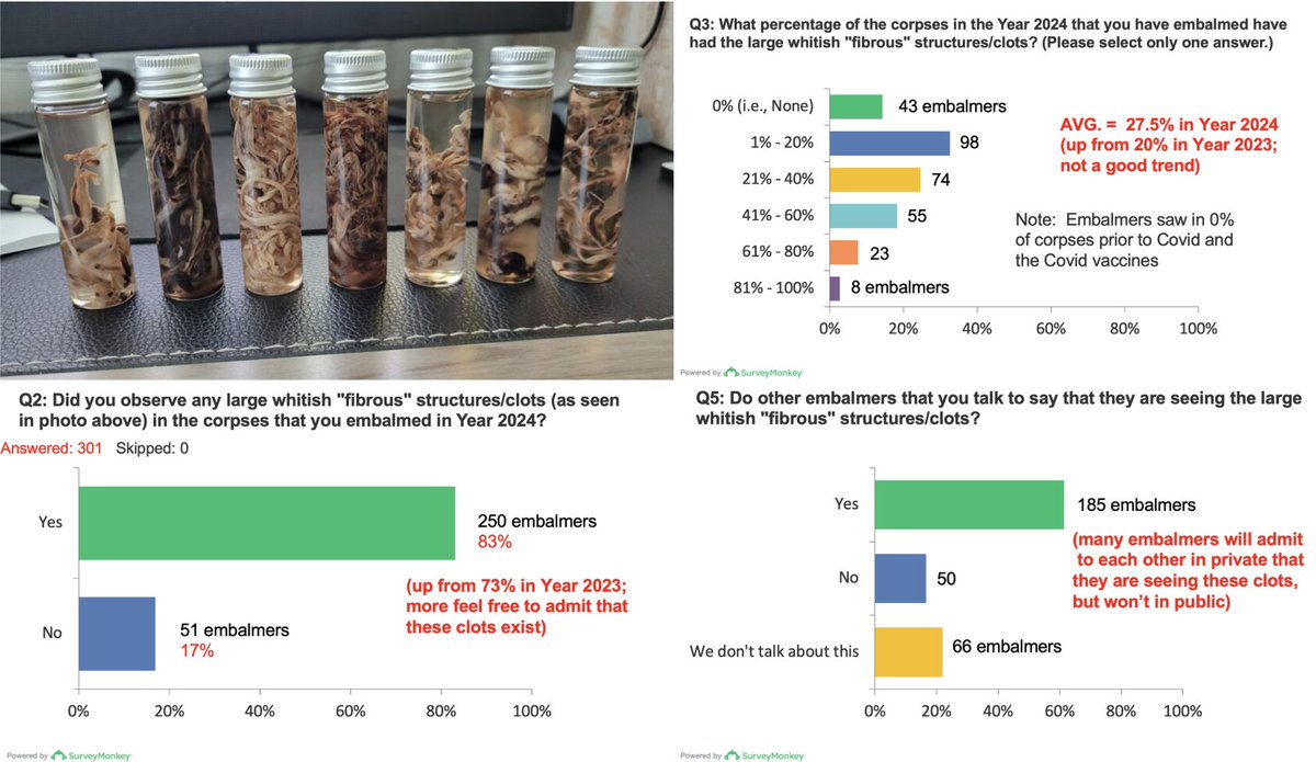 NicHulscher's tweet image. White Fibrous Clots Are REAL and PREVALENT

✅ Video-confirmed testimony of white fibrous clot detection by a majority of embalmers at an official state funeral directors association meeting

✅ 3 years of global embalmer survey data revealing widespread detection of white…