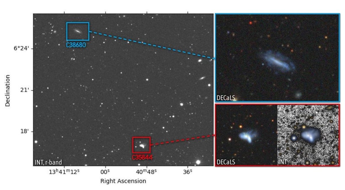 Erika (@explorecosmos_) on Twitter photo Researchers from the <a href="/IAC_Astrofisica/">IAC Astrofísica</a> and the CAVITY project have studied a rare merger between two dwarf galaxies occurring deep within a cosmic void, an extremely underpopulated region of the Universe.
This event, involving galaxies with a combined mass of less than a Researchers from the <a href="/IAC_Astrofisica/">IAC Astrofísica</a> and the CAVITY project have studied a rare merger between two dwarf galaxies occurring deep within a cosmic void, an extremely underpopulated region of the Universe.
This event, involving galaxies with a combined mass of less than a