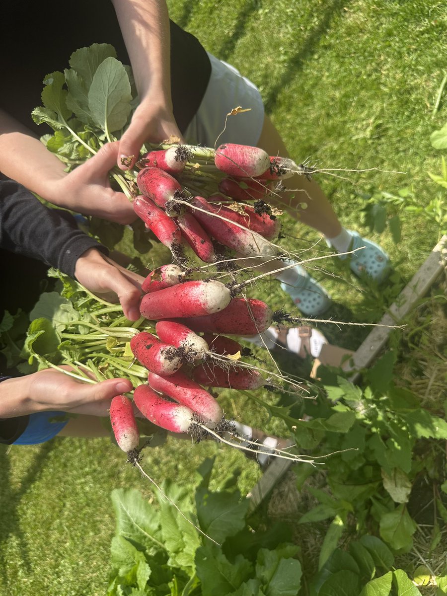 Jenny Lemon tweet media