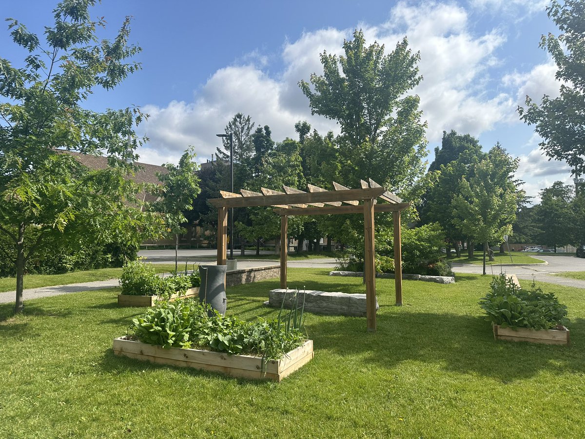 Jenny Lemon tweet media