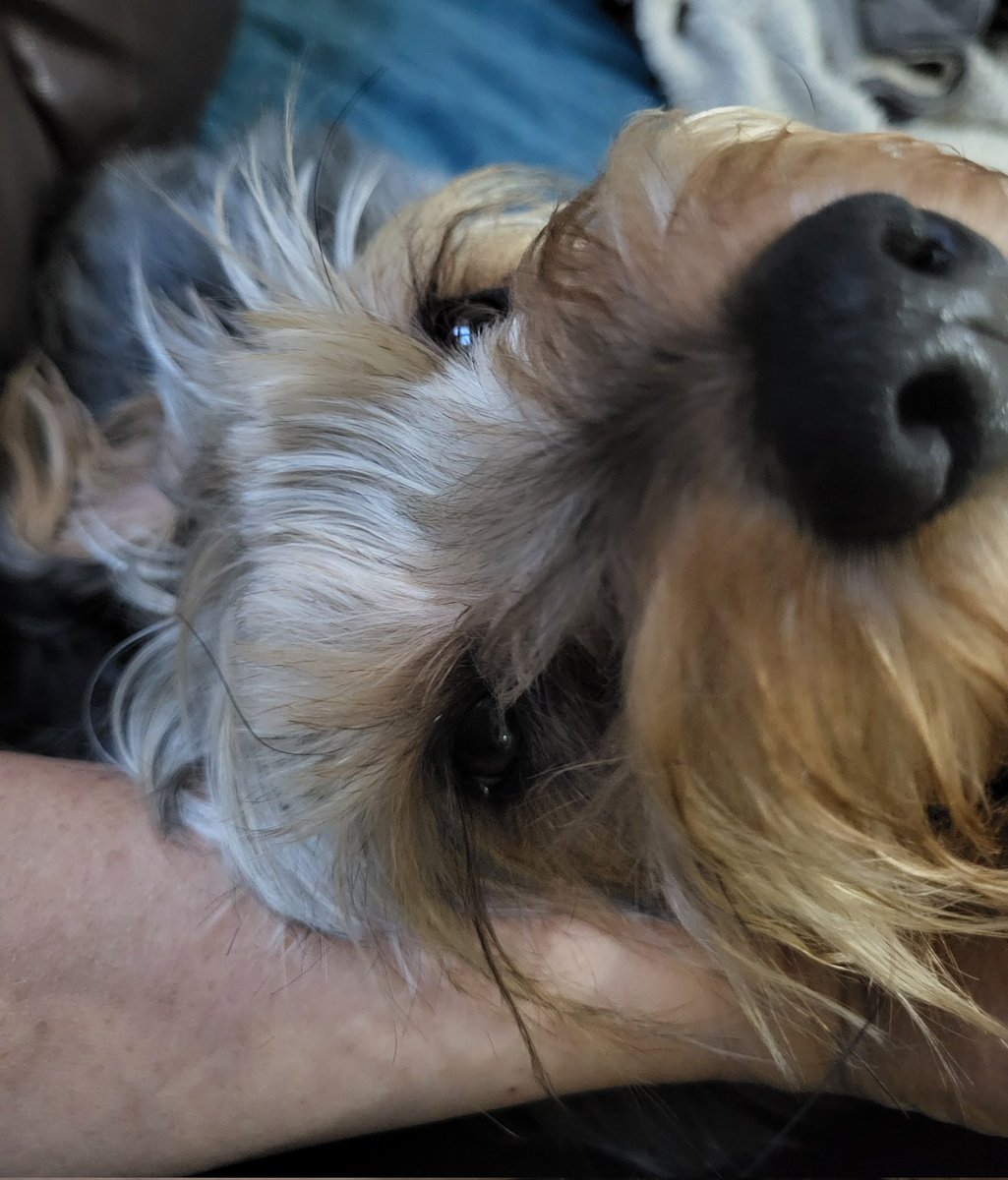 'Tell me the story again of how you picked me hoomum" 😍