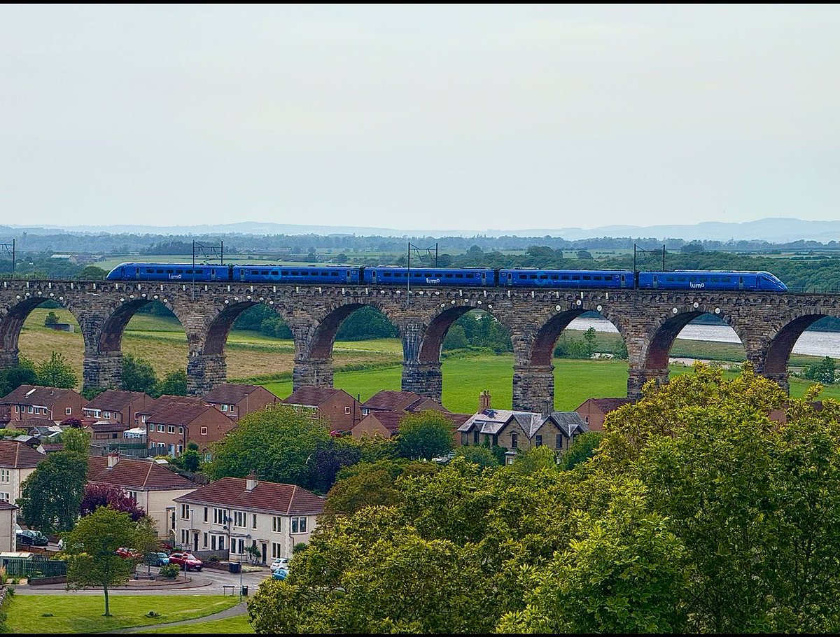 CJ 🏳️‍🌈 tweet media