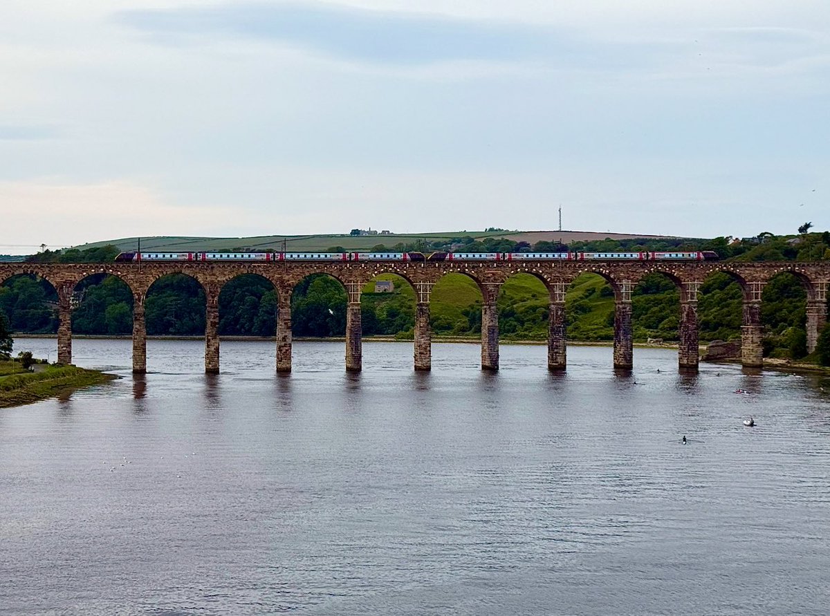 CJ 🏳️‍🌈 tweet media