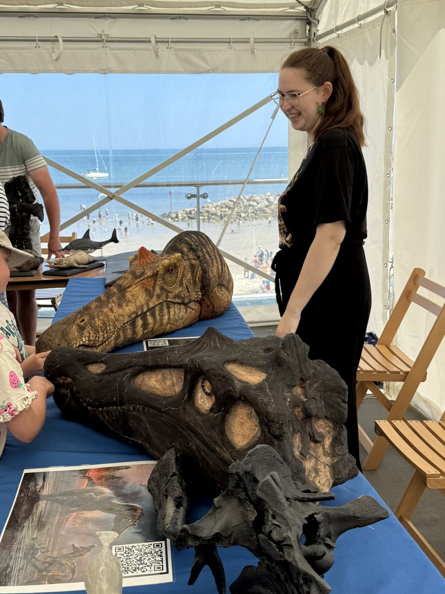 GruiformAbi's tweet image. Great weekend at the Lyme Regis fossil festival representing palaeobiology at @unisouthampton- featuring bird evolution, baby seagulls and (unexpectedly) a visit from a bottlenose dolphin!