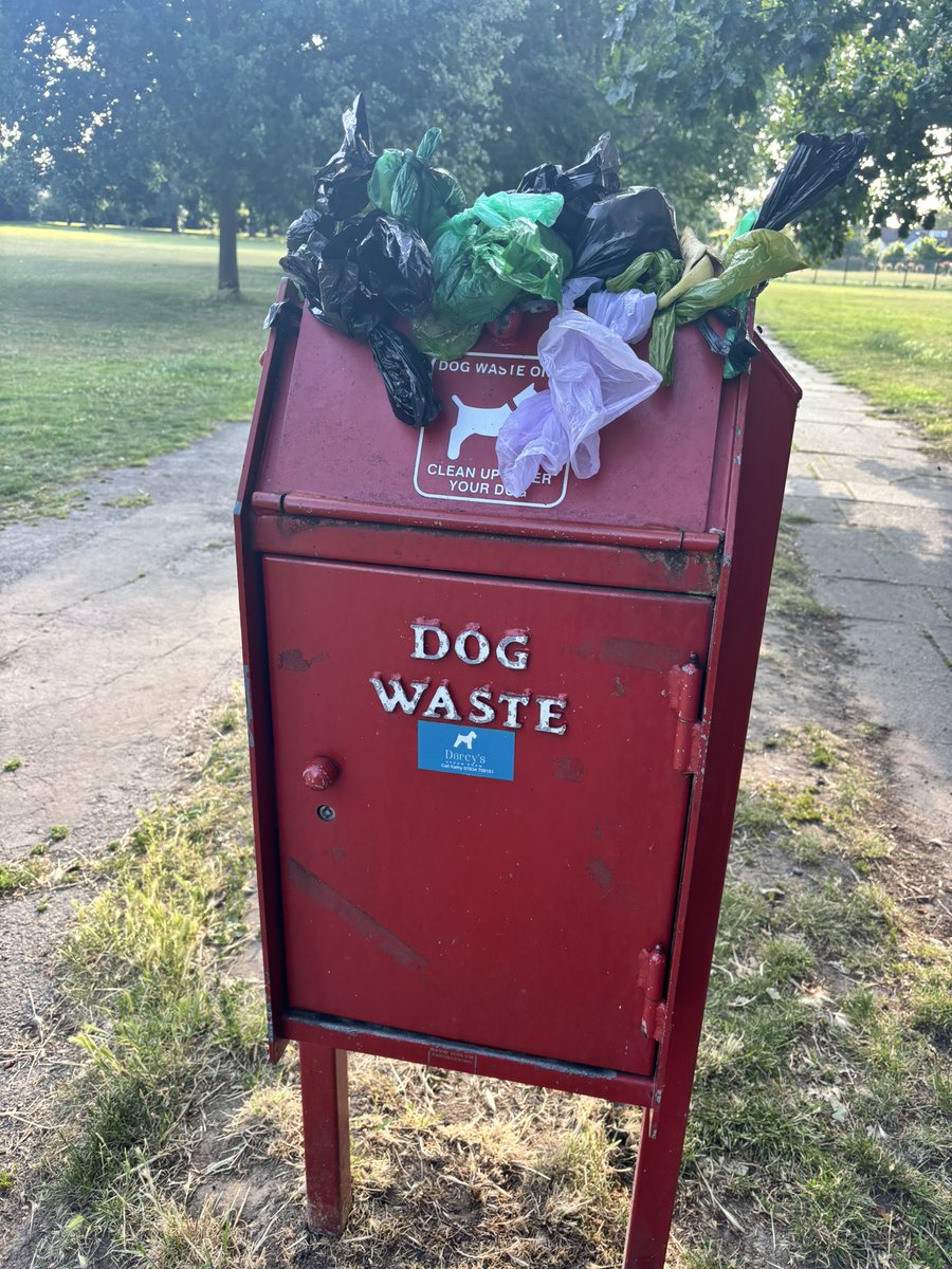 Lisa-Jane Moore tweet media